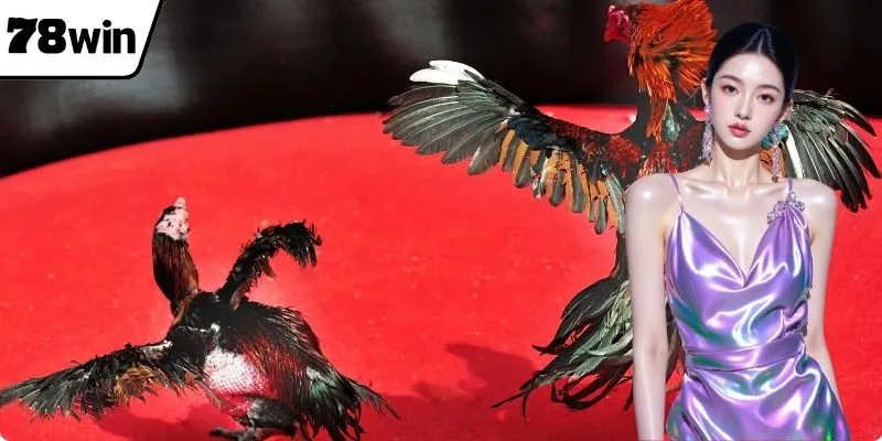 ประตูเมรอนมีอัตราการชนะสูงที่ไก่ชน 78WIN